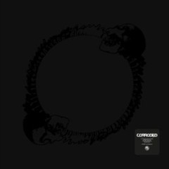 Corroded – Plague 2LP 12″ Vinyl Record – NEW