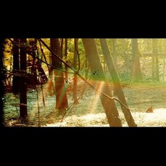 CHILDISH GAMBINO Camp 2x LP NEW VINYL Glassnote