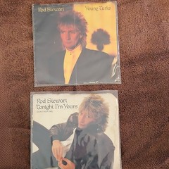 Rod Stewart 7″ 45 RPM Vinyl Single Warner Bros. WBS 49843 Paper Sleeve