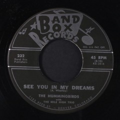 HUMMINGBIRDS: see you in my dreams / teenage wedding BAND BOX 7″ Single 45 RPM