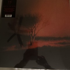 Joji Piss in the Wind (Vinyl) Album