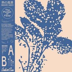 Masahiro Sugaya The Pocket of Fever LP &OBI Japanese Ambient 1st Vinyl Press NEW