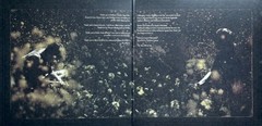 Ethel Cain – Willoughby Tucker, I’ll Always Love You (2xLP, Album, Ltd) (Mint (M