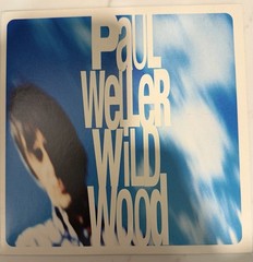 Paul Weller Wild Wood 7” Vinyl 1993 Portishead Remix MINT Mod Classic