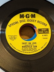FUNK Wakefield Sun Sing A Simple Song / Trypt On Love MGM 14072 1969 PROMO VG+
