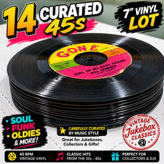 Curated 45 RPM Vinyl Records Lot – Soul Funk Oldies Classic Rock
