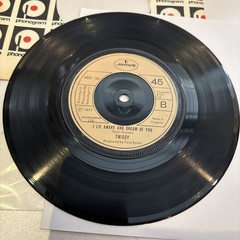 Twiggy – A Woman in Love – Vinyl Record 7″ Single – 1977 Phonogram