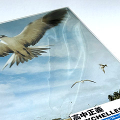 Masayoshi Takanaka Seychelles Remaster Clear Sky Blue Vinyl LP OBI Japan New