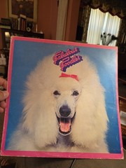 Fabulous Poodles / Self Titled 1977 PYE Records NSPL18530 English Pressing VG+