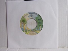 Shaun Cassidy – That’s Rock ‘N’ Roll / I Wanna Be With You – 1976 – POP ROCK