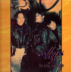 Nuttin’ Nyce – In My Nature (12″) (Very Good Plus (VG+)) – 4221300969