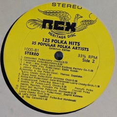 125 Polka Hits Various Artists Rex Records LP 1000 4-LP Box Set Vinyl NM/VG+