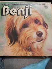 VINYL RECORD JOE CAMP’S THE STORY OF BENJI KID STUFF RECORDS KSS 5015