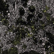 We Are Busy Bodies – Infest The Rats Nest Live at Red Rocks 2022 – – J1398z