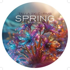 Talla 2XLC & RMB Spring Rework Limited Picture Vinyl Maxi-Single 12″