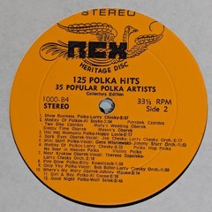 125 Polka Hits Various Artists Rex Records LP 1000 4-LP Box Set Vinyl NM/VG+