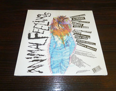 Rafter – Animal Feelings (Vinyl Record LP) New & Sealed – 2010 AKR069