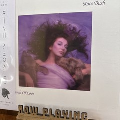 Kate Bush – Hounds Of Love LP NEW COLOR VINYL