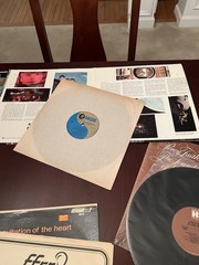 Lot of 12 Vintage Vinyl Various Orchestra / Conductors Records – See Photos