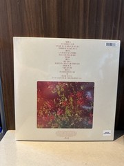 Lana Del Rey – Honeymoon 2LP Brand New Translucent Red Vinyl *SEALED