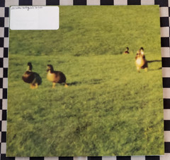 Nothing Left 12″ by Orbital vinyl 1999 UK import VG+ FX365 FFRR