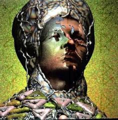 Odd Blood by Yeasayer (Record, 2010)
