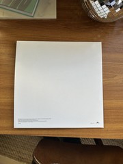 The 1975 A Brief Enquiry Into Online Relationships White Vinyl