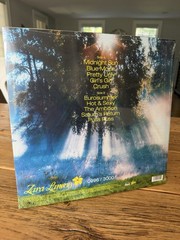 Zara Larsson – Midnight Sun Yellow Marble VV Vertigo Exclusive Vinyl LP /3000