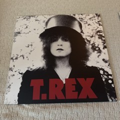 T. Rex The Slider LP + Ty Segall Ty Rex Tribute LP 180g Vinyl NM Marc Bolan