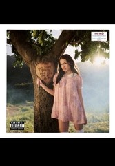 Olivia Rodrigo You Seem Pretty Sad For A Girl So In Love Vinyl Target Exclusive