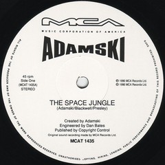 Adamski – The Space Jungle (12″, Single) (Very Good Plus (VG+)) – 4264159056