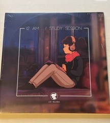 LOFI GIRL 12 AM STUDY SESSION Color Vinyl 2 LP Limited 1700 Ready To Ship!