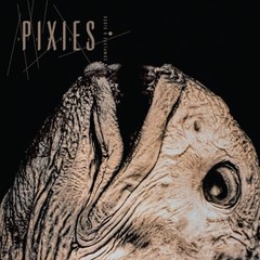 PIXIES – Complete B Sides: 1988-97 – NEW CLEAR RECORD LP VINYL INDIE EXCLUSIVE